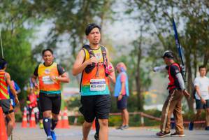 BIB: 41622
                            <button type="button" onclick="openModal(9720042)" class="btn btn-primary btn-sm float-right btn-popup" data-toggle="modal" data-target=".modal-high-quality">
                        <i class="fas fa-shopping-cart"></i> Add to Cart
                    </button>
                                            <button type="button" onclick="isThisMe(9720042, true)" class="btn btn-success btn-sm float-right btn-popup btn-isme hidden" data-toggle="tooltip" data-placement="bottom" title="นี่คือรูปของคุณใช่ไหม คลิกที่นี่เพื่อเอาเข้าอัลบั้ม">
                        <i class="fas fa-plus"></i> Add to album
                    </button>
                    <button type="button" onclick="isThisMe(9720042, false)" class="btn btn-warning btn-sm float-right btn-popup btn-isnotme hidden">
                        <i class="fas fa-ban"></i> Remove from album
                    </button>