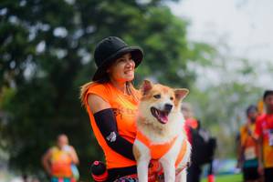 BIB: 
                            <button type="button" onclick="openModal(9719797)" class="btn btn-primary btn-sm float-right btn-popup" data-toggle="modal" data-target=".modal-high-quality">
                        <i class="fas fa-shopping-cart"></i> Add to Cart
                    </button>
                                            <button type="button" onclick="isThisMe(9719797, true)" class="btn btn-success btn-sm float-right btn-popup btn-isme hidden" data-toggle="tooltip" data-placement="bottom" title="นี่คือรูปของคุณใช่ไหม คลิกที่นี่เพื่อเอาเข้าอัลบั้ม">
                        <i class="fas fa-plus"></i> Add to album
                    </button>
                    <button type="button" onclick="isThisMe(9719797, false)" class="btn btn-warning btn-sm float-right btn-popup btn-isnotme hidden">
                        <i class="fas fa-ban"></i> Remove from album
                    </button>