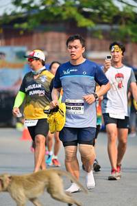 BIB: 47329
                            <button type="button" onclick="openModal(7390372)" class="btn btn-primary btn-sm float-right btn-popup" data-toggle="modal" data-target=".modal-high-quality">
                        <i class="fas fa-shopping-cart"></i> Add to Cart
                    </button>
                                            <button type="button" onclick="isThisMe(7390372, true)" class="btn btn-success btn-sm float-right btn-popup btn-isme hidden" data-toggle="tooltip" data-placement="bottom" title="นี่คือรูปของคุณใช่ไหม คลิกที่นี่เพื่อเอาเข้าอัลบั้ม">
                        <i class="fas fa-plus"></i> Add to album
                    </button>
                    <button type="button" onclick="isThisMe(7390372, false)" class="btn btn-warning btn-sm float-right btn-popup btn-isnotme hidden">
                        <i class="fas fa-ban"></i> Remove from album
                    </button>