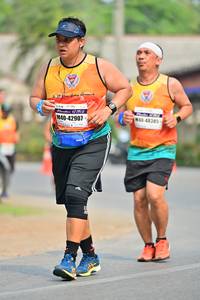 BIB: 48385, 42907
                            <button type="button" onclick="openModal(7436379)" class="btn btn-primary btn-sm float-right btn-popup" data-toggle="modal" data-target=".modal-high-quality">
                        <i class="fas fa-shopping-cart"></i> Add to Cart
                    </button>
                                            <button type="button" onclick="isThisMe(7436379, true)" class="btn btn-success btn-sm float-right btn-popup btn-isme hidden" data-toggle="tooltip" data-placement="bottom" title="นี่คือรูปของคุณใช่ไหม คลิกที่นี่เพื่อเอาเข้าอัลบั้ม">
                        <i class="fas fa-plus"></i> Add to album
                    </button>
                    <button type="button" onclick="isThisMe(7436379, false)" class="btn btn-warning btn-sm float-right btn-popup btn-isnotme hidden">
                        <i class="fas fa-ban"></i> Remove from album
                    </button>