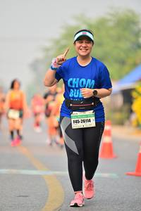 BIB: 26114
                            <button type="button" onclick="openModal(8235139)" class="btn btn-primary btn-sm float-right btn-popup" data-toggle="modal" data-target=".modal-high-quality">
                        <i class="fas fa-shopping-cart"></i> Add to Cart
                    </button>
                                            <button type="button" onclick="isThisMe(8235139, true)" class="btn btn-success btn-sm float-right btn-popup btn-isme hidden" data-toggle="tooltip" data-placement="bottom" title="นี่คือรูปของคุณใช่ไหม คลิกที่นี่เพื่อเอาเข้าอัลบั้ม">
                        <i class="fas fa-plus"></i> Add to album
                    </button>
                    <button type="button" onclick="isThisMe(8235139, false)" class="btn btn-warning btn-sm float-right btn-popup btn-isnotme hidden">
                        <i class="fas fa-ban"></i> Remove from album
                    </button>