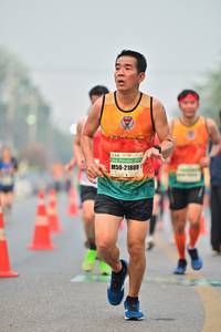 BIB: 21809, 
                            <button type="button" onclick="openModal(8000348)" class="btn btn-primary btn-sm float-right btn-popup" data-toggle="modal" data-target=".modal-high-quality">
                        <i class="fas fa-shopping-cart"></i> Add to Cart
                    </button>
                                            <button type="button" onclick="isThisMe(8000348, true)" class="btn btn-success btn-sm float-right btn-popup btn-isme hidden" data-toggle="tooltip" data-placement="bottom" title="นี่คือรูปของคุณใช่ไหม คลิกที่นี่เพื่อเอาเข้าอัลบั้ม">
                        <i class="fas fa-plus"></i> Add to album
                    </button>
                    <button type="button" onclick="isThisMe(8000348, false)" class="btn btn-warning btn-sm float-right btn-popup btn-isnotme hidden">
                        <i class="fas fa-ban"></i> Remove from album
                    </button>