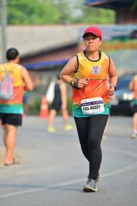 BIB: 45327
                            <button type="button" onclick="openModal(8458775)" class="btn btn-primary btn-sm float-right btn-popup" data-toggle="modal" data-target=".modal-high-quality">
                        <i class="fas fa-shopping-cart"></i> Add to Cart
                    </button>
                                            <button type="button" onclick="isThisMe(8458775, true)" class="btn btn-success btn-sm float-right btn-popup btn-isme hidden" data-toggle="tooltip" data-placement="bottom" title="นี่คือรูปของคุณใช่ไหม คลิกที่นี่เพื่อเอาเข้าอัลบั้ม">
                        <i class="fas fa-plus"></i> Add to album
                    </button>
                    <button type="button" onclick="isThisMe(8458775, false)" class="btn btn-warning btn-sm float-right btn-popup btn-isnotme hidden">
                        <i class="fas fa-ban"></i> Remove from album
                    </button>