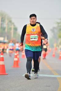 BIB: 26771
                            <button type="button" onclick="openModal(8255615)" class="btn btn-primary btn-sm float-right btn-popup" data-toggle="modal" data-target=".modal-high-quality">
                        <i class="fas fa-shopping-cart"></i> Add to Cart
                    </button>
                                            <button type="button" onclick="isThisMe(8255615, true)" class="btn btn-success btn-sm float-right btn-popup btn-isme hidden" data-toggle="tooltip" data-placement="bottom" title="นี่คือรูปของคุณใช่ไหม คลิกที่นี่เพื่อเอาเข้าอัลบั้ม">
                        <i class="fas fa-plus"></i> Add to album
                    </button>
                    <button type="button" onclick="isThisMe(8255615, false)" class="btn btn-warning btn-sm float-right btn-popup btn-isnotme hidden">
                        <i class="fas fa-ban"></i> Remove from album
                    </button>