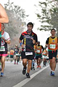 BIB: 2158, 26242, 28037
                            <button type="button" onclick="openModal(8418523)" class="btn btn-primary btn-sm float-right btn-popup" data-toggle="modal" data-target=".modal-high-quality">
                        <i class="fas fa-shopping-cart"></i> Add to Cart
                    </button>
                                            <button type="button" onclick="isThisMe(8418523, true)" class="btn btn-success btn-sm float-right btn-popup btn-isme hidden" data-toggle="tooltip" data-placement="bottom" title="นี่คือรูปของคุณใช่ไหม คลิกที่นี่เพื่อเอาเข้าอัลบั้ม">
                        <i class="fas fa-plus"></i> Add to album
                    </button>
                    <button type="button" onclick="isThisMe(8418523, false)" class="btn btn-warning btn-sm float-right btn-popup btn-isnotme hidden">
                        <i class="fas fa-ban"></i> Remove from album
                    </button>