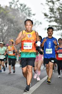 BIB: 2124
                            <button type="button" onclick="openModal(8364488)" class="btn btn-primary btn-sm float-right btn-popup" data-toggle="modal" data-target=".modal-high-quality">
                        <i class="fas fa-shopping-cart"></i> Add to Cart
                    </button>
                                            <button type="button" onclick="isThisMe(8364488, true)" class="btn btn-success btn-sm float-right btn-popup btn-isme hidden" data-toggle="tooltip" data-placement="bottom" title="นี่คือรูปของคุณใช่ไหม คลิกที่นี่เพื่อเอาเข้าอัลบั้ม">
                        <i class="fas fa-plus"></i> Add to album
                    </button>
                    <button type="button" onclick="isThisMe(8364488, false)" class="btn btn-warning btn-sm float-right btn-popup btn-isnotme hidden">
                        <i class="fas fa-ban"></i> Remove from album
                    </button>