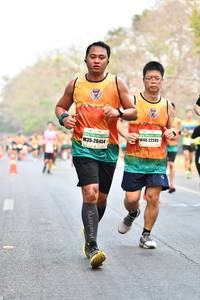 BIB: 22245, 26454
                            <button type="button" onclick="openModal(9888370)" class="btn btn-primary btn-sm float-right btn-popup" data-toggle="modal" data-target=".modal-high-quality">
                        <i class="fas fa-shopping-cart"></i> Add to Cart
                    </button>
                                            <button type="button" onclick="isThisMe(9888370, true)" class="btn btn-success btn-sm float-right btn-popup btn-isme hidden" data-toggle="tooltip" data-placement="bottom" title="นี่คือรูปของคุณใช่ไหม คลิกที่นี่เพื่อเอาเข้าอัลบั้ม">
                        <i class="fas fa-plus"></i> Add to album
                    </button>
                    <button type="button" onclick="isThisMe(9888370, false)" class="btn btn-warning btn-sm float-right btn-popup btn-isnotme hidden">
                        <i class="fas fa-ban"></i> Remove from album
                    </button>
