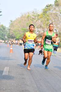 BIB: 41551, 4503
                            <button type="button" onclick="openModal(9018019)" class="btn btn-primary btn-sm float-right btn-popup" data-toggle="modal" data-target=".modal-high-quality">
                        <i class="fas fa-shopping-cart"></i> Add to Cart
                    </button>
                                            <button type="button" onclick="isThisMe(9018019, true)" class="btn btn-success btn-sm float-right btn-popup btn-isme hidden" data-toggle="tooltip" data-placement="bottom" title="นี่คือรูปของคุณใช่ไหม คลิกที่นี่เพื่อเอาเข้าอัลบั้ม">
                        <i class="fas fa-plus"></i> Add to album
                    </button>
                    <button type="button" onclick="isThisMe(9018019, false)" class="btn btn-warning btn-sm float-right btn-popup btn-isnotme hidden">
                        <i class="fas fa-ban"></i> Remove from album
                    </button>