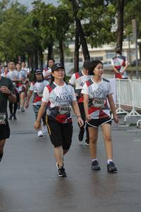 BIB: 700, 7001, 7432
                            <button type="button" onclick="openModal(6069601)" class="btn btn-primary btn-sm float-right btn-popup" data-toggle="modal" data-target=".modal-high-quality">
                        <i class="fas fa-shopping-cart"></i> Add to Cart
                    </button>
                                            <button type="button" onclick="isThisMe(6069601, true)" class="btn btn-success btn-sm float-right btn-popup btn-isme hidden" data-toggle="tooltip" data-placement="bottom" title="นี่คือรูปของคุณใช่ไหม คลิกที่นี่เพื่อเอาเข้าอัลบั้ม">
                        <i class="fas fa-plus"></i> Add to album
                    </button>
                    <button type="button" onclick="isThisMe(6069601, false)" class="btn btn-warning btn-sm float-right btn-popup btn-isnotme hidden">
                        <i class="fas fa-ban"></i> Remove from album
                    </button>