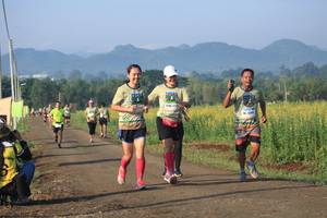 BIB: 
                            <button type="button" onclick="openModal(3523173)" class="btn btn-primary btn-sm float-right btn-popup" data-toggle="modal" data-target=".modal-high-quality">
                        <i class="fas fa-shopping-cart"></i> Add to Cart
                    </button>
                                            <button type="button" onclick="isThisMe(3523173, true)" class="btn btn-success btn-sm float-right btn-popup btn-isme hidden" data-toggle="tooltip" data-placement="bottom" title="นี่คือรูปของคุณใช่ไหม คลิกที่นี่เพื่อเอาเข้าอัลบั้ม">
                        <i class="fas fa-plus"></i> Add to album
                    </button>
                    <button type="button" onclick="isThisMe(3523173, false)" class="btn btn-warning btn-sm float-right btn-popup btn-isnotme hidden">
                        <i class="fas fa-ban"></i> Remove from album
                    </button>