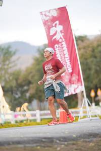 BIB: 
                            <button type="button" onclick="openModal(27888825)" class="btn btn-primary btn-sm float-right btn-popup" data-toggle="modal" data-target=".modal-high-quality">
                        <i class="fas fa-shopping-cart"></i> Add to Cart
                    </button>
                                            <button type="button" onclick="isThisMe(27888825, true)" class="btn btn-success btn-sm float-right btn-popup btn-isme hidden" data-toggle="tooltip" data-placement="bottom" title="นี่คือรูปของคุณใช่ไหม คลิกที่นี่เพื่อเอาเข้าอัลบั้ม">
                        <i class="fas fa-plus"></i> Add to album
                    </button>
                    <button type="button" onclick="isThisMe(27888825, false)" class="btn btn-warning btn-sm float-right btn-popup btn-isnotme hidden">
                        <i class="fas fa-ban"></i> Remove from album
                    </button>