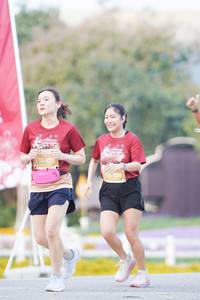 BIB: 
                            <button type="button" onclick="openModal(27889917)" class="btn btn-primary btn-sm float-right btn-popup" data-toggle="modal" data-target=".modal-high-quality">
                        <i class="fas fa-shopping-cart"></i> Add to Cart
                    </button>
                                            <button type="button" onclick="isThisMe(27889917, true)" class="btn btn-success btn-sm float-right btn-popup btn-isme hidden" data-toggle="tooltip" data-placement="bottom" title="นี่คือรูปของคุณใช่ไหม คลิกที่นี่เพื่อเอาเข้าอัลบั้ม">
                        <i class="fas fa-plus"></i> Add to album
                    </button>
                    <button type="button" onclick="isThisMe(27889917, false)" class="btn btn-warning btn-sm float-right btn-popup btn-isnotme hidden">
                        <i class="fas fa-ban"></i> Remove from album
                    </button>