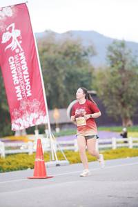 BIB: 
                            <button type="button" onclick="openModal(27888476)" class="btn btn-primary btn-sm float-right btn-popup" data-toggle="modal" data-target=".modal-high-quality">
                        <i class="fas fa-shopping-cart"></i> Add to Cart
                    </button>
                                            <button type="button" onclick="isThisMe(27888476, true)" class="btn btn-success btn-sm float-right btn-popup btn-isme hidden" data-toggle="tooltip" data-placement="bottom" title="นี่คือรูปของคุณใช่ไหม คลิกที่นี่เพื่อเอาเข้าอัลบั้ม">
                        <i class="fas fa-plus"></i> Add to album
                    </button>
                    <button type="button" onclick="isThisMe(27888476, false)" class="btn btn-warning btn-sm float-right btn-popup btn-isnotme hidden">
                        <i class="fas fa-ban"></i> Remove from album
                    </button>