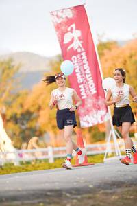 BIB: 
                            <button type="button" onclick="openModal(27889293)" class="btn btn-primary btn-sm float-right btn-popup" data-toggle="modal" data-target=".modal-high-quality">
                        <i class="fas fa-shopping-cart"></i> Add to Cart
                    </button>
                                            <button type="button" onclick="isThisMe(27889293, true)" class="btn btn-success btn-sm float-right btn-popup btn-isme hidden" data-toggle="tooltip" data-placement="bottom" title="นี่คือรูปของคุณใช่ไหม คลิกที่นี่เพื่อเอาเข้าอัลบั้ม">
                        <i class="fas fa-plus"></i> Add to album
                    </button>
                    <button type="button" onclick="isThisMe(27889293, false)" class="btn btn-warning btn-sm float-right btn-popup btn-isnotme hidden">
                        <i class="fas fa-ban"></i> Remove from album
                    </button>