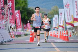 BIB: 
                            <button type="button" onclick="openModal(27883667)" class="btn btn-primary btn-sm float-right btn-popup" data-toggle="modal" data-target=".modal-high-quality">
                        <i class="fas fa-shopping-cart"></i> Add to Cart
                    </button>
                                            <button type="button" onclick="isThisMe(27883667, true)" class="btn btn-success btn-sm float-right btn-popup btn-isme hidden" data-toggle="tooltip" data-placement="bottom" title="นี่คือรูปของคุณใช่ไหม คลิกที่นี่เพื่อเอาเข้าอัลบั้ม">
                        <i class="fas fa-plus"></i> Add to album
                    </button>
                    <button type="button" onclick="isThisMe(27883667, false)" class="btn btn-warning btn-sm float-right btn-popup btn-isnotme hidden">
                        <i class="fas fa-ban"></i> Remove from album
                    </button>