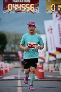 BIB: 
                            <button type="button" onclick="openModal(27828200)" class="btn btn-primary btn-sm float-right btn-popup" data-toggle="modal" data-target=".modal-high-quality">
                        <i class="fas fa-shopping-cart"></i> Add to Cart
                    </button>
                                            <button type="button" onclick="isThisMe(27828200, true)" class="btn btn-success btn-sm float-right btn-popup btn-isme hidden" data-toggle="tooltip" data-placement="bottom" title="นี่คือรูปของคุณใช่ไหม คลิกที่นี่เพื่อเอาเข้าอัลบั้ม">
                        <i class="fas fa-plus"></i> Add to album
                    </button>
                    <button type="button" onclick="isThisMe(27828200, false)" class="btn btn-warning btn-sm float-right btn-popup btn-isnotme hidden">
                        <i class="fas fa-ban"></i> Remove from album
                    </button>