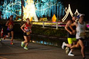 BIB: 
                            <button type="button" onclick="openModal(27915183)" class="btn btn-primary btn-sm float-right btn-popup" data-toggle="modal" data-target=".modal-high-quality">
                        <i class="fas fa-shopping-cart"></i> Add to Cart
                    </button>
                                            <button type="button" onclick="isThisMe(27915183, true)" class="btn btn-success btn-sm float-right btn-popup btn-isme hidden" data-toggle="tooltip" data-placement="bottom" title="นี่คือรูปของคุณใช่ไหม คลิกที่นี่เพื่อเอาเข้าอัลบั้ม">
                        <i class="fas fa-plus"></i> Add to album
                    </button>
                    <button type="button" onclick="isThisMe(27915183, false)" class="btn btn-warning btn-sm float-right btn-popup btn-isnotme hidden">
                        <i class="fas fa-ban"></i> Remove from album
                    </button>