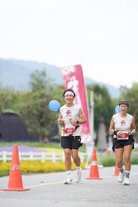 BIB: 
                            <button type="button" onclick="openModal(27902241)" class="btn btn-primary btn-sm float-right btn-popup" data-toggle="modal" data-target=".modal-high-quality">
                        <i class="fas fa-shopping-cart"></i> Add to Cart
                    </button>
                                            <button type="button" onclick="isThisMe(27902241, true)" class="btn btn-success btn-sm float-right btn-popup btn-isme hidden" data-toggle="tooltip" data-placement="bottom" title="นี่คือรูปของคุณใช่ไหม คลิกที่นี่เพื่อเอาเข้าอัลบั้ม">
                        <i class="fas fa-plus"></i> Add to album
                    </button>
                    <button type="button" onclick="isThisMe(27902241, false)" class="btn btn-warning btn-sm float-right btn-popup btn-isnotme hidden">
                        <i class="fas fa-ban"></i> Remove from album
                    </button>