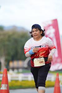 BIB: 
                            <button type="button" onclick="openModal(27903167)" class="btn btn-primary btn-sm float-right btn-popup" data-toggle="modal" data-target=".modal-high-quality">
                        <i class="fas fa-shopping-cart"></i> Add to Cart
                    </button>
                                            <button type="button" onclick="isThisMe(27903167, true)" class="btn btn-success btn-sm float-right btn-popup btn-isme hidden" data-toggle="tooltip" data-placement="bottom" title="นี่คือรูปของคุณใช่ไหม คลิกที่นี่เพื่อเอาเข้าอัลบั้ม">
                        <i class="fas fa-plus"></i> Add to album
                    </button>
                    <button type="button" onclick="isThisMe(27903167, false)" class="btn btn-warning btn-sm float-right btn-popup btn-isnotme hidden">
                        <i class="fas fa-ban"></i> Remove from album
                    </button>