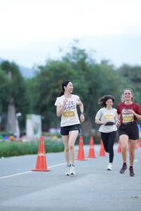 BIB: 
                            <button type="button" onclick="openModal(27899153)" class="btn btn-primary btn-sm float-right btn-popup" data-toggle="modal" data-target=".modal-high-quality">
                        <i class="fas fa-shopping-cart"></i> Add to Cart
                    </button>
                                            <button type="button" onclick="isThisMe(27899153, true)" class="btn btn-success btn-sm float-right btn-popup btn-isme hidden" data-toggle="tooltip" data-placement="bottom" title="นี่คือรูปของคุณใช่ไหม คลิกที่นี่เพื่อเอาเข้าอัลบั้ม">
                        <i class="fas fa-plus"></i> Add to album
                    </button>
                    <button type="button" onclick="isThisMe(27899153, false)" class="btn btn-warning btn-sm float-right btn-popup btn-isnotme hidden">
                        <i class="fas fa-ban"></i> Remove from album
                    </button>