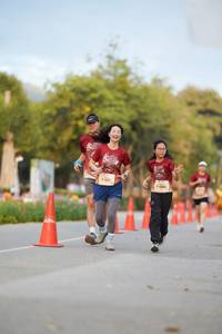 BIB: 
                            <button type="button" onclick="openModal(27903677)" class="btn btn-primary btn-sm float-right btn-popup" data-toggle="modal" data-target=".modal-high-quality">
                        <i class="fas fa-shopping-cart"></i> Add to Cart
                    </button>
                                            <button type="button" onclick="isThisMe(27903677, true)" class="btn btn-success btn-sm float-right btn-popup btn-isme hidden" data-toggle="tooltip" data-placement="bottom" title="นี่คือรูปของคุณใช่ไหม คลิกที่นี่เพื่อเอาเข้าอัลบั้ม">
                        <i class="fas fa-plus"></i> Add to album
                    </button>
                    <button type="button" onclick="isThisMe(27903677, false)" class="btn btn-warning btn-sm float-right btn-popup btn-isnotme hidden">
                        <i class="fas fa-ban"></i> Remove from album
                    </button>