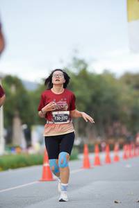 BIB: 
                            <button type="button" onclick="openModal(27898334)" class="btn btn-primary btn-sm float-right btn-popup" data-toggle="modal" data-target=".modal-high-quality">
                        <i class="fas fa-shopping-cart"></i> Add to Cart
                    </button>
                                            <button type="button" onclick="isThisMe(27898334, true)" class="btn btn-success btn-sm float-right btn-popup btn-isme hidden" data-toggle="tooltip" data-placement="bottom" title="นี่คือรูปของคุณใช่ไหม คลิกที่นี่เพื่อเอาเข้าอัลบั้ม">
                        <i class="fas fa-plus"></i> Add to album
                    </button>
                    <button type="button" onclick="isThisMe(27898334, false)" class="btn btn-warning btn-sm float-right btn-popup btn-isnotme hidden">
                        <i class="fas fa-ban"></i> Remove from album
                    </button>