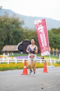 BIB: 
                            <button type="button" onclick="openModal(27902476)" class="btn btn-primary btn-sm float-right btn-popup" data-toggle="modal" data-target=".modal-high-quality">
                        <i class="fas fa-shopping-cart"></i> Add to Cart
                    </button>
                                            <button type="button" onclick="isThisMe(27902476, true)" class="btn btn-success btn-sm float-right btn-popup btn-isme hidden" data-toggle="tooltip" data-placement="bottom" title="นี่คือรูปของคุณใช่ไหม คลิกที่นี่เพื่อเอาเข้าอัลบั้ม">
                        <i class="fas fa-plus"></i> Add to album
                    </button>
                    <button type="button" onclick="isThisMe(27902476, false)" class="btn btn-warning btn-sm float-right btn-popup btn-isnotme hidden">
                        <i class="fas fa-ban"></i> Remove from album
                    </button>