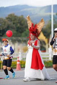 BIB: 
                            <button type="button" onclick="openModal(27902639)" class="btn btn-primary btn-sm float-right btn-popup" data-toggle="modal" data-target=".modal-high-quality">
                        <i class="fas fa-shopping-cart"></i> Add to Cart
                    </button>
                                            <button type="button" onclick="isThisMe(27902639, true)" class="btn btn-success btn-sm float-right btn-popup btn-isme hidden" data-toggle="tooltip" data-placement="bottom" title="นี่คือรูปของคุณใช่ไหม คลิกที่นี่เพื่อเอาเข้าอัลบั้ม">
                        <i class="fas fa-plus"></i> Add to album
                    </button>
                    <button type="button" onclick="isThisMe(27902639, false)" class="btn btn-warning btn-sm float-right btn-popup btn-isnotme hidden">
                        <i class="fas fa-ban"></i> Remove from album
                    </button>