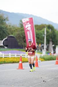 BIB: 
                            <button type="button" onclick="openModal(27902310)" class="btn btn-primary btn-sm float-right btn-popup" data-toggle="modal" data-target=".modal-high-quality">
                        <i class="fas fa-shopping-cart"></i> Add to Cart
                    </button>
                                            <button type="button" onclick="isThisMe(27902310, true)" class="btn btn-success btn-sm float-right btn-popup btn-isme hidden" data-toggle="tooltip" data-placement="bottom" title="นี่คือรูปของคุณใช่ไหม คลิกที่นี่เพื่อเอาเข้าอัลบั้ม">
                        <i class="fas fa-plus"></i> Add to album
                    </button>
                    <button type="button" onclick="isThisMe(27902310, false)" class="btn btn-warning btn-sm float-right btn-popup btn-isnotme hidden">
                        <i class="fas fa-ban"></i> Remove from album
                    </button>