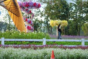 BIB: 
                            <button type="button" onclick="openModal(27909580)" class="btn btn-primary btn-sm float-right btn-popup" data-toggle="modal" data-target=".modal-high-quality">
                        <i class="fas fa-shopping-cart"></i> Add to Cart
                    </button>
                                            <button type="button" onclick="isThisMe(27909580, true)" class="btn btn-success btn-sm float-right btn-popup btn-isme hidden" data-toggle="tooltip" data-placement="bottom" title="นี่คือรูปของคุณใช่ไหม คลิกที่นี่เพื่อเอาเข้าอัลบั้ม">
                        <i class="fas fa-plus"></i> Add to album
                    </button>
                    <button type="button" onclick="isThisMe(27909580, false)" class="btn btn-warning btn-sm float-right btn-popup btn-isnotme hidden">
                        <i class="fas fa-ban"></i> Remove from album
                    </button>