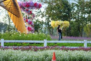 BIB: 
                            <button type="button" onclick="openModal(27909576)" class="btn btn-primary btn-sm float-right btn-popup" data-toggle="modal" data-target=".modal-high-quality">
                        <i class="fas fa-shopping-cart"></i> Add to Cart
                    </button>
                                            <button type="button" onclick="isThisMe(27909576, true)" class="btn btn-success btn-sm float-right btn-popup btn-isme hidden" data-toggle="tooltip" data-placement="bottom" title="นี่คือรูปของคุณใช่ไหม คลิกที่นี่เพื่อเอาเข้าอัลบั้ม">
                        <i class="fas fa-plus"></i> Add to album
                    </button>
                    <button type="button" onclick="isThisMe(27909576, false)" class="btn btn-warning btn-sm float-right btn-popup btn-isnotme hidden">
                        <i class="fas fa-ban"></i> Remove from album
                    </button>