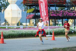 BIB: 
                            <button type="button" onclick="openModal(27909284)" class="btn btn-primary btn-sm float-right btn-popup" data-toggle="modal" data-target=".modal-high-quality">
                        <i class="fas fa-shopping-cart"></i> Add to Cart
                    </button>
                                            <button type="button" onclick="isThisMe(27909284, true)" class="btn btn-success btn-sm float-right btn-popup btn-isme hidden" data-toggle="tooltip" data-placement="bottom" title="นี่คือรูปของคุณใช่ไหม คลิกที่นี่เพื่อเอาเข้าอัลบั้ม">
                        <i class="fas fa-plus"></i> Add to album
                    </button>
                    <button type="button" onclick="isThisMe(27909284, false)" class="btn btn-warning btn-sm float-right btn-popup btn-isnotme hidden">
                        <i class="fas fa-ban"></i> Remove from album
                    </button>