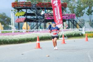 BIB: 
                            <button type="button" onclick="openModal(27910643)" class="btn btn-primary btn-sm float-right btn-popup" data-toggle="modal" data-target=".modal-high-quality">
                        <i class="fas fa-shopping-cart"></i> Add to Cart
                    </button>
                                            <button type="button" onclick="isThisMe(27910643, true)" class="btn btn-success btn-sm float-right btn-popup btn-isme hidden" data-toggle="tooltip" data-placement="bottom" title="นี่คือรูปของคุณใช่ไหม คลิกที่นี่เพื่อเอาเข้าอัลบั้ม">
                        <i class="fas fa-plus"></i> Add to album
                    </button>
                    <button type="button" onclick="isThisMe(27910643, false)" class="btn btn-warning btn-sm float-right btn-popup btn-isnotme hidden">
                        <i class="fas fa-ban"></i> Remove from album
                    </button>