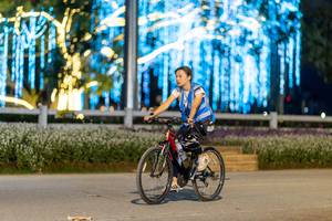 BIB: 
                            <button type="button" onclick="openModal(27907046)" class="btn btn-primary btn-sm float-right btn-popup" data-toggle="modal" data-target=".modal-high-quality">
                        <i class="fas fa-shopping-cart"></i> Add to Cart
                    </button>
                                            <button type="button" onclick="isThisMe(27907046, true)" class="btn btn-success btn-sm float-right btn-popup btn-isme hidden" data-toggle="tooltip" data-placement="bottom" title="นี่คือรูปของคุณใช่ไหม คลิกที่นี่เพื่อเอาเข้าอัลบั้ม">
                        <i class="fas fa-plus"></i> Add to album
                    </button>
                    <button type="button" onclick="isThisMe(27907046, false)" class="btn btn-warning btn-sm float-right btn-popup btn-isnotme hidden">
                        <i class="fas fa-ban"></i> Remove from album
                    </button>