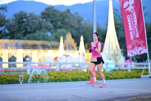 BIB: 
                            <button type="button" onclick="openModal(27836497)" class="btn btn-primary btn-sm float-right btn-popup" data-toggle="modal" data-target=".modal-high-quality">
                        <i class="fas fa-shopping-cart"></i> Add to Cart
                    </button>
                                            <button type="button" onclick="isThisMe(27836497, true)" class="btn btn-success btn-sm float-right btn-popup btn-isme hidden" data-toggle="tooltip" data-placement="bottom" title="นี่คือรูปของคุณใช่ไหม คลิกที่นี่เพื่อเอาเข้าอัลบั้ม">
                        <i class="fas fa-plus"></i> Add to album
                    </button>
                    <button type="button" onclick="isThisMe(27836497, false)" class="btn btn-warning btn-sm float-right btn-popup btn-isnotme hidden">
                        <i class="fas fa-ban"></i> Remove from album
                    </button>