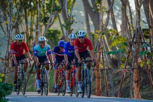 BIB: 
                            <button type="button" onclick="openModal(26161216)" class="btn btn-primary btn-sm float-right btn-popup" data-toggle="modal" data-target=".modal-high-quality">
                        <i class="fas fa-shopping-cart"></i> Add to Cart
                    </button>
                                            <button type="button" onclick="isThisMe(26161216, true)" class="btn btn-success btn-sm float-right btn-popup btn-isme hidden" data-toggle="tooltip" data-placement="bottom" title="นี่คือรูปของคุณใช่ไหม คลิกที่นี่เพื่อเอาเข้าอัลบั้ม">
                        <i class="fas fa-plus"></i> Add to album
                    </button>
                    <button type="button" onclick="isThisMe(26161216, false)" class="btn btn-warning btn-sm float-right btn-popup btn-isnotme hidden">
                        <i class="fas fa-ban"></i> Remove from album
                    </button>