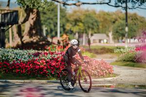 BIB: 
                            <button type="button" onclick="openModal(26155498)" class="btn btn-primary btn-sm float-right btn-popup" data-toggle="modal" data-target=".modal-high-quality">
                        <i class="fas fa-shopping-cart"></i> Add to Cart
                    </button>
                                            <button type="button" onclick="isThisMe(26155498, true)" class="btn btn-success btn-sm float-right btn-popup btn-isme hidden" data-toggle="tooltip" data-placement="bottom" title="นี่คือรูปของคุณใช่ไหม คลิกที่นี่เพื่อเอาเข้าอัลบั้ม">
                        <i class="fas fa-plus"></i> Add to album
                    </button>
                    <button type="button" onclick="isThisMe(26155498, false)" class="btn btn-warning btn-sm float-right btn-popup btn-isnotme hidden">
                        <i class="fas fa-ban"></i> Remove from album
                    </button>