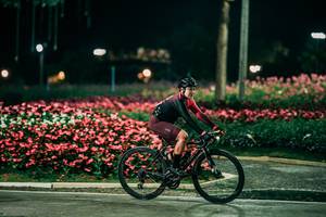 BIB: 
                            <button type="button" onclick="openModal(26162203)" class="btn btn-primary btn-sm float-right btn-popup" data-toggle="modal" data-target=".modal-high-quality">
                        <i class="fas fa-shopping-cart"></i> Add to Cart
                    </button>
                                            <button type="button" onclick="isThisMe(26162203, true)" class="btn btn-success btn-sm float-right btn-popup btn-isme hidden" data-toggle="tooltip" data-placement="bottom" title="นี่คือรูปของคุณใช่ไหม คลิกที่นี่เพื่อเอาเข้าอัลบั้ม">
                        <i class="fas fa-plus"></i> Add to album
                    </button>
                    <button type="button" onclick="isThisMe(26162203, false)" class="btn btn-warning btn-sm float-right btn-popup btn-isnotme hidden">
                        <i class="fas fa-ban"></i> Remove from album
                    </button>