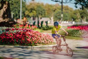 BIB: 
                            <button type="button" onclick="openModal(26155506)" class="btn btn-primary btn-sm float-right btn-popup" data-toggle="modal" data-target=".modal-high-quality">
                        <i class="fas fa-shopping-cart"></i> Add to Cart
                    </button>
                                            <button type="button" onclick="isThisMe(26155506, true)" class="btn btn-success btn-sm float-right btn-popup btn-isme hidden" data-toggle="tooltip" data-placement="bottom" title="นี่คือรูปของคุณใช่ไหม คลิกที่นี่เพื่อเอาเข้าอัลบั้ม">
                        <i class="fas fa-plus"></i> Add to album
                    </button>
                    <button type="button" onclick="isThisMe(26155506, false)" class="btn btn-warning btn-sm float-right btn-popup btn-isnotme hidden">
                        <i class="fas fa-ban"></i> Remove from album
                    </button>