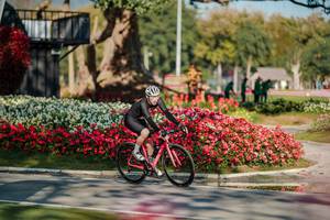 BIB: 
                            <button type="button" onclick="openModal(26155499)" class="btn btn-primary btn-sm float-right btn-popup" data-toggle="modal" data-target=".modal-high-quality">
                        <i class="fas fa-shopping-cart"></i> Add to Cart
                    </button>
                                            <button type="button" onclick="isThisMe(26155499, true)" class="btn btn-success btn-sm float-right btn-popup btn-isme hidden" data-toggle="tooltip" data-placement="bottom" title="นี่คือรูปของคุณใช่ไหม คลิกที่นี่เพื่อเอาเข้าอัลบั้ม">
                        <i class="fas fa-plus"></i> Add to album
                    </button>
                    <button type="button" onclick="isThisMe(26155499, false)" class="btn btn-warning btn-sm float-right btn-popup btn-isnotme hidden">
                        <i class="fas fa-ban"></i> Remove from album
                    </button>