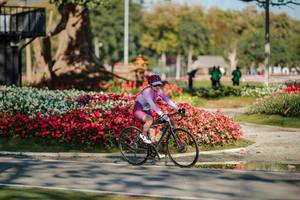 BIB: 
                            <button type="button" onclick="openModal(26155511)" class="btn btn-primary btn-sm float-right btn-popup" data-toggle="modal" data-target=".modal-high-quality">
                        <i class="fas fa-shopping-cart"></i> Add to Cart
                    </button>
                                            <button type="button" onclick="isThisMe(26155511, true)" class="btn btn-success btn-sm float-right btn-popup btn-isme hidden" data-toggle="tooltip" data-placement="bottom" title="นี่คือรูปของคุณใช่ไหม คลิกที่นี่เพื่อเอาเข้าอัลบั้ม">
                        <i class="fas fa-plus"></i> Add to album
                    </button>
                    <button type="button" onclick="isThisMe(26155511, false)" class="btn btn-warning btn-sm float-right btn-popup btn-isnotme hidden">
                        <i class="fas fa-ban"></i> Remove from album
                    </button>