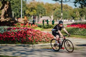 BIB: 
                            <button type="button" onclick="openModal(26155512)" class="btn btn-primary btn-sm float-right btn-popup" data-toggle="modal" data-target=".modal-high-quality">
                        <i class="fas fa-shopping-cart"></i> Add to Cart
                    </button>
                                            <button type="button" onclick="isThisMe(26155512, true)" class="btn btn-success btn-sm float-right btn-popup btn-isme hidden" data-toggle="tooltip" data-placement="bottom" title="นี่คือรูปของคุณใช่ไหม คลิกที่นี่เพื่อเอาเข้าอัลบั้ม">
                        <i class="fas fa-plus"></i> Add to album
                    </button>
                    <button type="button" onclick="isThisMe(26155512, false)" class="btn btn-warning btn-sm float-right btn-popup btn-isnotme hidden">
                        <i class="fas fa-ban"></i> Remove from album
                    </button>