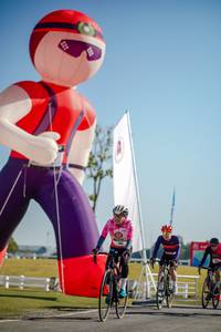 BIB: 
                            <button type="button" onclick="openModal(26159629)" class="btn btn-primary btn-sm float-right btn-popup" data-toggle="modal" data-target=".modal-high-quality">
                        <i class="fas fa-shopping-cart"></i> Add to Cart
                    </button>
                                            <button type="button" onclick="isThisMe(26159629, true)" class="btn btn-success btn-sm float-right btn-popup btn-isme hidden" data-toggle="tooltip" data-placement="bottom" title="นี่คือรูปของคุณใช่ไหม คลิกที่นี่เพื่อเอาเข้าอัลบั้ม">
                        <i class="fas fa-plus"></i> Add to album
                    </button>
                    <button type="button" onclick="isThisMe(26159629, false)" class="btn btn-warning btn-sm float-right btn-popup btn-isnotme hidden">
                        <i class="fas fa-ban"></i> Remove from album
                    </button>