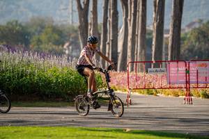 BIB: 
                            <button type="button" onclick="openModal(26160579)" class="btn btn-primary btn-sm float-right btn-popup" data-toggle="modal" data-target=".modal-high-quality">
                        <i class="fas fa-shopping-cart"></i> Add to Cart
                    </button>
                                            <button type="button" onclick="isThisMe(26160579, true)" class="btn btn-success btn-sm float-right btn-popup btn-isme hidden" data-toggle="tooltip" data-placement="bottom" title="นี่คือรูปของคุณใช่ไหม คลิกที่นี่เพื่อเอาเข้าอัลบั้ม">
                        <i class="fas fa-plus"></i> Add to album
                    </button>
                    <button type="button" onclick="isThisMe(26160579, false)" class="btn btn-warning btn-sm float-right btn-popup btn-isnotme hidden">
                        <i class="fas fa-ban"></i> Remove from album
                    </button>