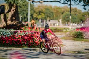 BIB: 
                            <button type="button" onclick="openModal(26155490)" class="btn btn-primary btn-sm float-right btn-popup" data-toggle="modal" data-target=".modal-high-quality">
                        <i class="fas fa-shopping-cart"></i> Add to Cart
                    </button>
                                            <button type="button" onclick="isThisMe(26155490, true)" class="btn btn-success btn-sm float-right btn-popup btn-isme hidden" data-toggle="tooltip" data-placement="bottom" title="นี่คือรูปของคุณใช่ไหม คลิกที่นี่เพื่อเอาเข้าอัลบั้ม">
                        <i class="fas fa-plus"></i> Add to album
                    </button>
                    <button type="button" onclick="isThisMe(26155490, false)" class="btn btn-warning btn-sm float-right btn-popup btn-isnotme hidden">
                        <i class="fas fa-ban"></i> Remove from album
                    </button>