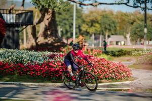 BIB: 
                            <button type="button" onclick="openModal(26155488)" class="btn btn-primary btn-sm float-right btn-popup" data-toggle="modal" data-target=".modal-high-quality">
                        <i class="fas fa-shopping-cart"></i> Add to Cart
                    </button>
                                            <button type="button" onclick="isThisMe(26155488, true)" class="btn btn-success btn-sm float-right btn-popup btn-isme hidden" data-toggle="tooltip" data-placement="bottom" title="นี่คือรูปของคุณใช่ไหม คลิกที่นี่เพื่อเอาเข้าอัลบั้ม">
                        <i class="fas fa-plus"></i> Add to album
                    </button>
                    <button type="button" onclick="isThisMe(26155488, false)" class="btn btn-warning btn-sm float-right btn-popup btn-isnotme hidden">
                        <i class="fas fa-ban"></i> Remove from album
                    </button>