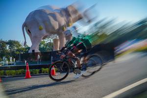 BIB: 
                            <button type="button" onclick="openModal(26160985)" class="btn btn-primary btn-sm float-right btn-popup" data-toggle="modal" data-target=".modal-high-quality">
                        <i class="fas fa-shopping-cart"></i> Add to Cart
                    </button>
                                            <button type="button" onclick="isThisMe(26160985, true)" class="btn btn-success btn-sm float-right btn-popup btn-isme hidden" data-toggle="tooltip" data-placement="bottom" title="นี่คือรูปของคุณใช่ไหม คลิกที่นี่เพื่อเอาเข้าอัลบั้ม">
                        <i class="fas fa-plus"></i> Add to album
                    </button>
                    <button type="button" onclick="isThisMe(26160985, false)" class="btn btn-warning btn-sm float-right btn-popup btn-isnotme hidden">
                        <i class="fas fa-ban"></i> Remove from album
                    </button>