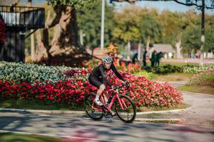 BIB: 
                            <button type="button" onclick="openModal(26155497)" class="btn btn-primary btn-sm float-right btn-popup" data-toggle="modal" data-target=".modal-high-quality">
                        <i class="fas fa-shopping-cart"></i> Add to Cart
                    </button>
                                            <button type="button" onclick="isThisMe(26155497, true)" class="btn btn-success btn-sm float-right btn-popup btn-isme hidden" data-toggle="tooltip" data-placement="bottom" title="นี่คือรูปของคุณใช่ไหม คลิกที่นี่เพื่อเอาเข้าอัลบั้ม">
                        <i class="fas fa-plus"></i> Add to album
                    </button>
                    <button type="button" onclick="isThisMe(26155497, false)" class="btn btn-warning btn-sm float-right btn-popup btn-isnotme hidden">
                        <i class="fas fa-ban"></i> Remove from album
                    </button>