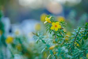 BIB: 
                            <button type="button" onclick="openModal(26161293)" class="btn btn-primary btn-sm float-right btn-popup" data-toggle="modal" data-target=".modal-high-quality">
                        <i class="fas fa-shopping-cart"></i> Add to Cart
                    </button>
                                            <button type="button" onclick="isThisMe(26161293, true)" class="btn btn-success btn-sm float-right btn-popup btn-isme hidden" data-toggle="tooltip" data-placement="bottom" title="นี่คือรูปของคุณใช่ไหม คลิกที่นี่เพื่อเอาเข้าอัลบั้ม">
                        <i class="fas fa-plus"></i> Add to album
                    </button>
                    <button type="button" onclick="isThisMe(26161293, false)" class="btn btn-warning btn-sm float-right btn-popup btn-isnotme hidden">
                        <i class="fas fa-ban"></i> Remove from album
                    </button>