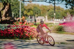 BIB: 
                            <button type="button" onclick="openModal(26155492)" class="btn btn-primary btn-sm float-right btn-popup" data-toggle="modal" data-target=".modal-high-quality">
                        <i class="fas fa-shopping-cart"></i> Add to Cart
                    </button>
                                            <button type="button" onclick="isThisMe(26155492, true)" class="btn btn-success btn-sm float-right btn-popup btn-isme hidden" data-toggle="tooltip" data-placement="bottom" title="นี่คือรูปของคุณใช่ไหม คลิกที่นี่เพื่อเอาเข้าอัลบั้ม">
                        <i class="fas fa-plus"></i> Add to album
                    </button>
                    <button type="button" onclick="isThisMe(26155492, false)" class="btn btn-warning btn-sm float-right btn-popup btn-isnotme hidden">
                        <i class="fas fa-ban"></i> Remove from album
                    </button>